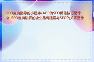 SEO宝典指导的小程序/APP的SEO优化技巧是什么_SEO宝典讲解的企业品牌建设与SEO的关系是什么