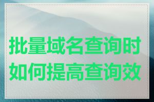 批量域名查询时如何提高查询效率