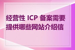 经营性 ICP 备案需要提供哪些网站介绍信息