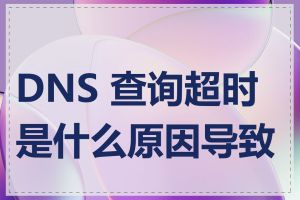 DNS 查询超时是什么原因导致的