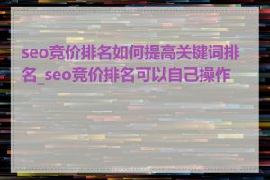 seo竞价排名如何提高关键词排名_seo竞价排名可以自己操作吗