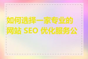 如何选择一家专业的网站 SEO 优化服务公司