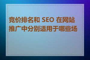 竞价排名和 SEO 在网站推广中分别适用于哪些场景