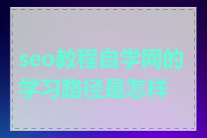 seo教程自学网的学习路径是怎样的