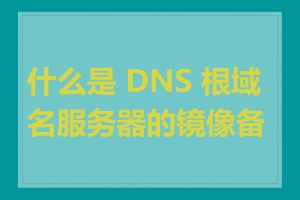 什么是 DNS 根域名服务器的镜像备份