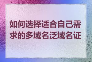 如何选择适合自己需求的多域名泛域名证书