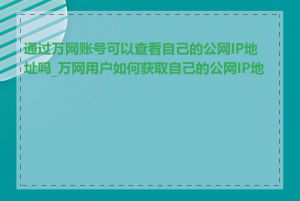 通过万网账号可以查看自己的公网IP地址吗_万网用户如何获取自己的公网IP地址