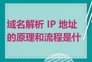 域名解析 IP 地址的原理和流程是什么