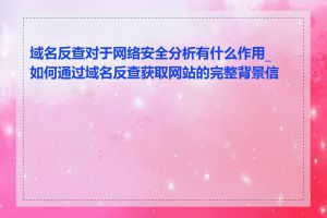 域名反查对于网络安全分析有什么作用_如何通过域名反查获取网站的完整背景信息