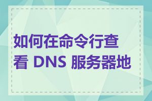 如何在命令行查看 DNS 服务器地址