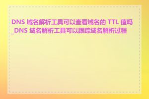 DNS 域名解析工具可以查看域名的 TTL 值吗_DNS 域名解析工具可以跟踪域名解析过程吗