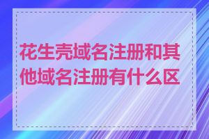 花生壳域名注册和其他域名注册有什么区别