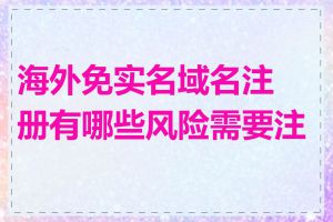 海外免实名域名注册有哪些风险需要注意