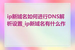 ip新域名如何进行DNS解析设置_ip新域名有什么作用