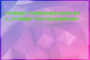 SEO网络推广中黑帽和白帽技术的差异是什么_SEO网络推广中DNS优化的重要性是什么