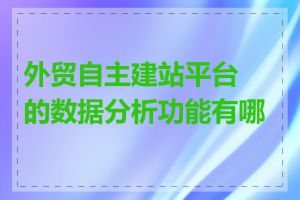 外贸自主建站平台的数据分析功能有哪些