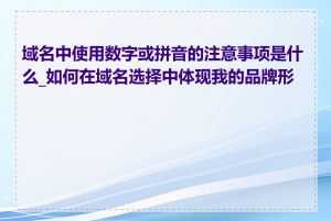 域名中使用数字或拼音的注意事项是什么_如何在域名选择中体现我的品牌形象