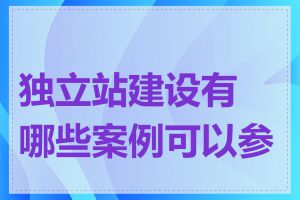 独立站建设有哪些案例可以参考