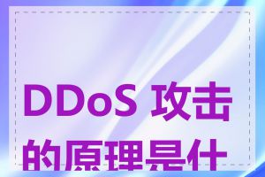 DDoS 攻击的原理是什么