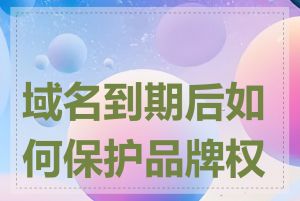 域名到期后如何保护品牌权益