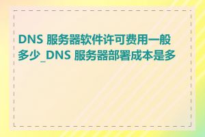 DNS 服务器软件许可费用一般多少_DNS 服务器部署成本是多少