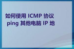 如何使用 ICMP 协议 ping 其他电脑 IP 地址