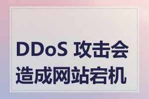 DDoS 攻击会造成网站宕机吗