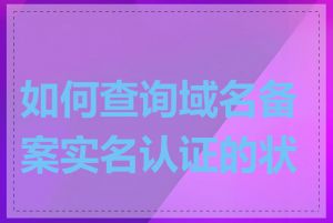 如何查询域名备案实名认证的状态