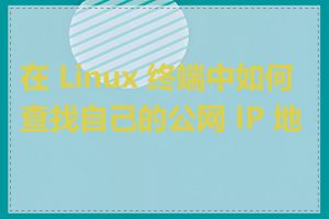 在 Linux 终端中如何查找自己的公网 IP 地址