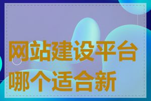 网站建设平台哪个适合新手