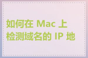 如何在 Mac 上检测域名的 IP 地址