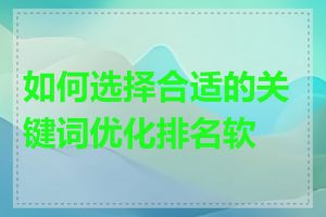 如何选择合适的关键词优化排名软件