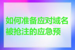 如何准备应对域名被抢注的应急预案