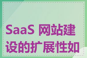 SaaS 网站建设的扩展性如何