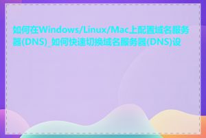 如何在Windows/Linux/Mac上配置域名服务器(DNS)_如何快速切换域名服务器(DNS)设置