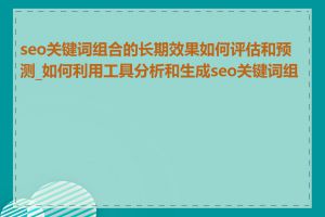 seo关键词组合的长期效果如何评估和预测_如何利用工具分析和生成seo关键词组合