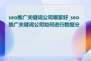 seo推广关键词公司哪家好_seo推广关键词公司如何进行数据分析