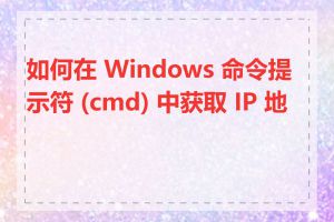 如何在 Windows 命令提示符 (cmd) 中获取 IP 地址