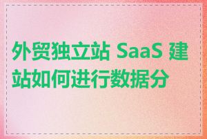 外贸独立站 SaaS 建站如何进行数据分析