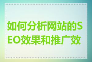 如何分析网站的SEO效果和推广效果