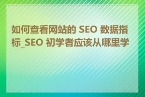 如何查看网站的 SEO 数据指标_SEO 初学者应该从哪里学起