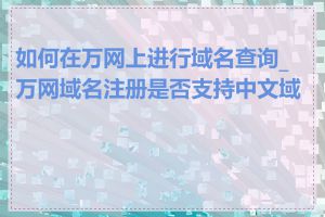 如何在万网上进行域名查询_万网域名注册是否支持中文域名