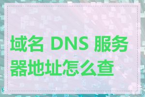 域名 DNS 服务器地址怎么查看