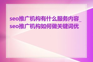 seo推广机构有什么服务内容_seo推广机构如何做关键词优化