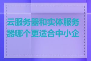 云服务器和实体服务器哪个更适合中小企业