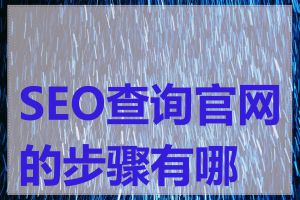 SEO查询官网的步骤有哪些