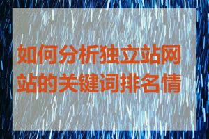 如何分析独立站网站的关键词排名情况