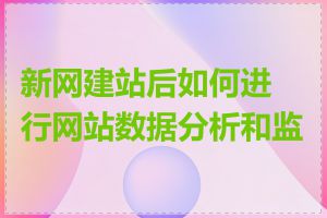 新网建站后如何进行网站数据分析和监控