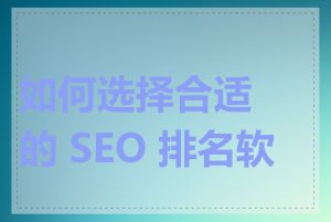 如何选择合适的 SEO 排名软件