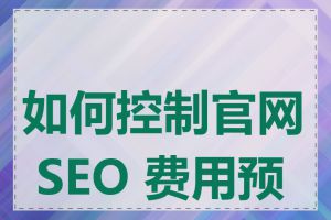 如何控制官网 SEO 费用预算